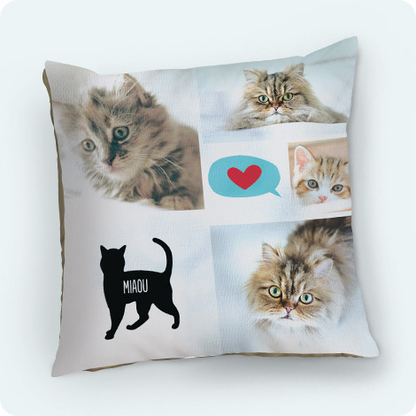 Coussins Animaux de Compagnie + Humains